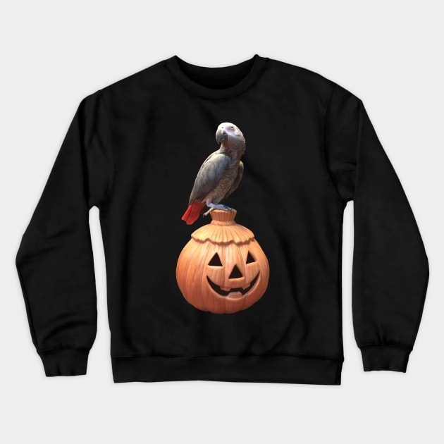 Jack-o-lantern Halloween African Grey Parrot Crewneck Sweatshirt by Einstein Parrot